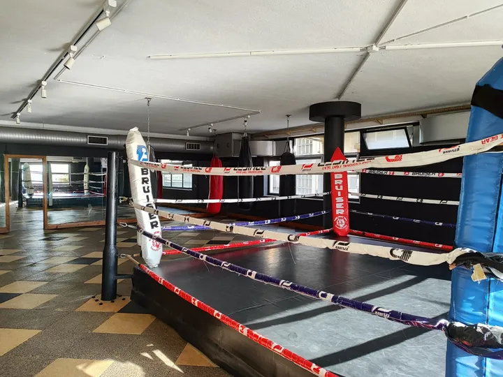 An empty gym: a ring roped off in red, white and blue, heavy bags hanging in a row behind it and mirrors down the far wall.